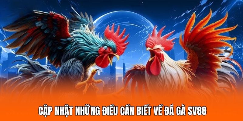 đá gà SV88